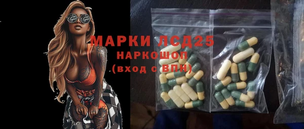 хмурый Алзамай