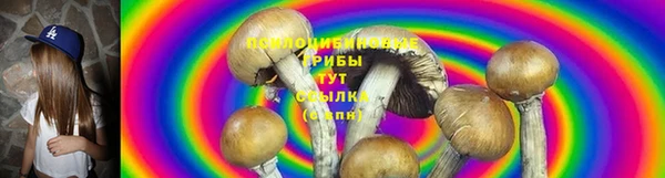 синтетический гашиш Алексин
