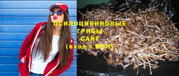 синтетический гашиш Алексин