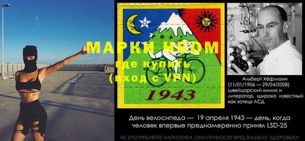 хмурый Алзамай