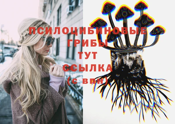 хмурый Алзамай
