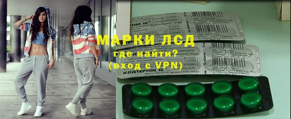 хмурый Алзамай