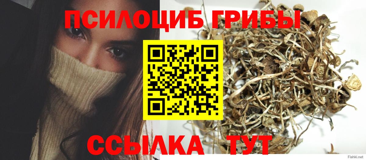 Псилоцибиновые грибы мицелий Старый Оскол