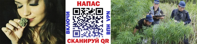 Марихуана THC 21%  Старый Оскол 